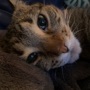 Meet your Posher, Lindsay